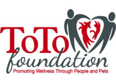 ToTo Foundation – Website Design