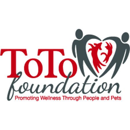 ToTo Foundation – Website Design